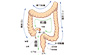 大腸がん（検診・診断編）