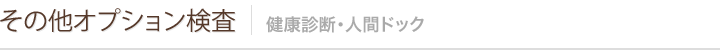 その他オプション検査