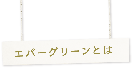 エバーグリーンとは